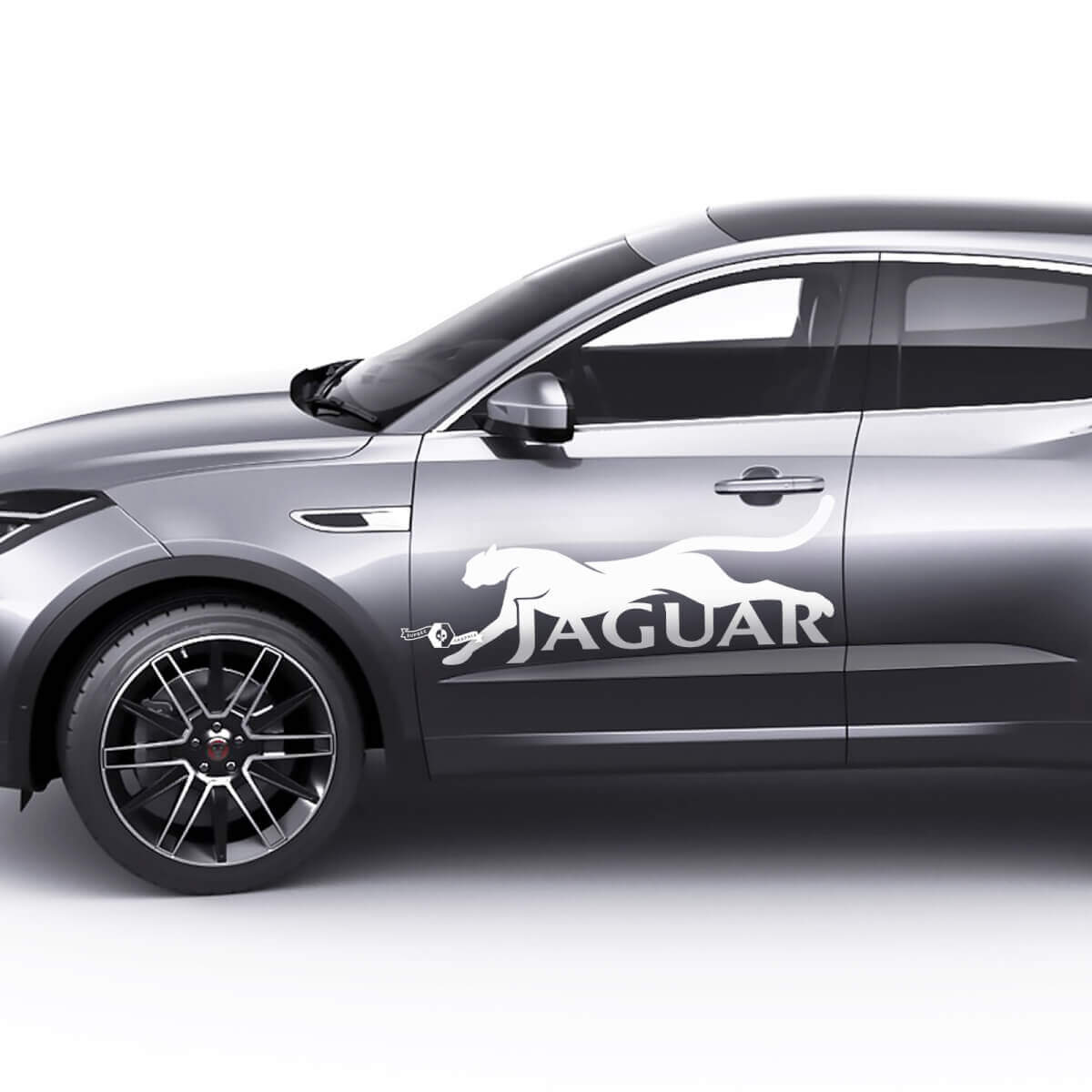 Adesivo grafico per porte laterali Cat E-Pace con logo Jaguar
