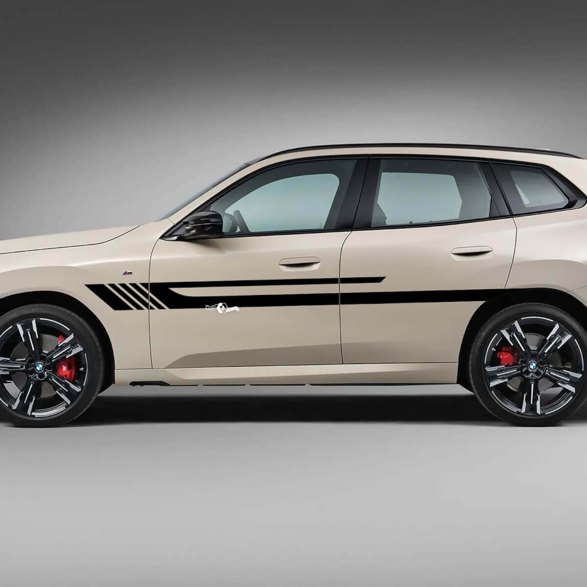 Strisce per porte laterali BMW X3 G01 F25 adesivo in vinile
