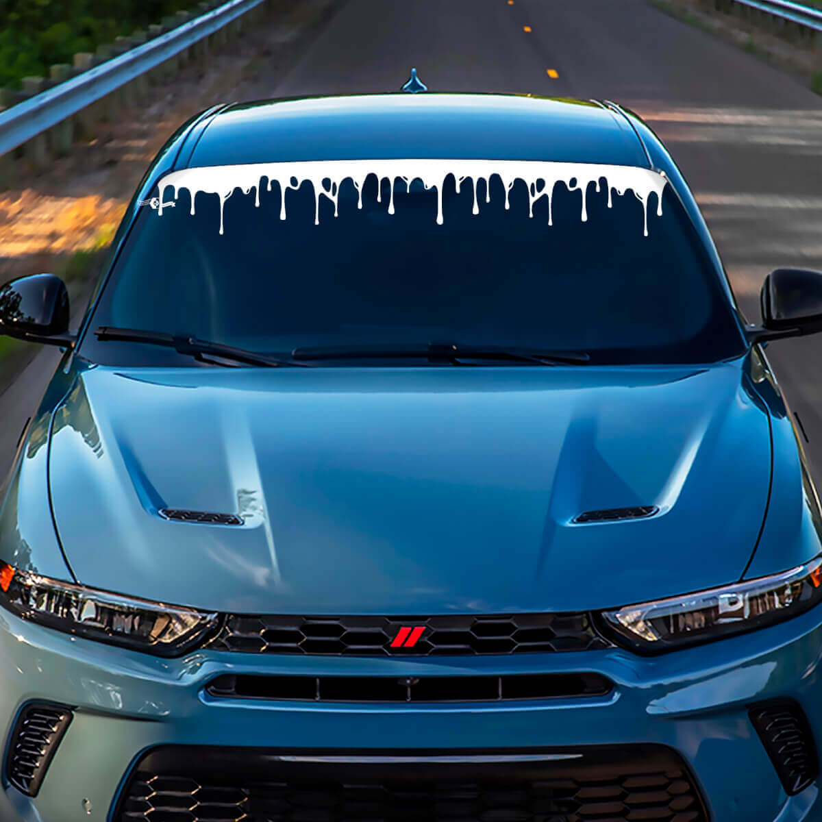 Hornet Hash Parature Stripe Banner Banner Decal Sticker - Grafica in vinile personalizzata adatta a Dodge Hornet
