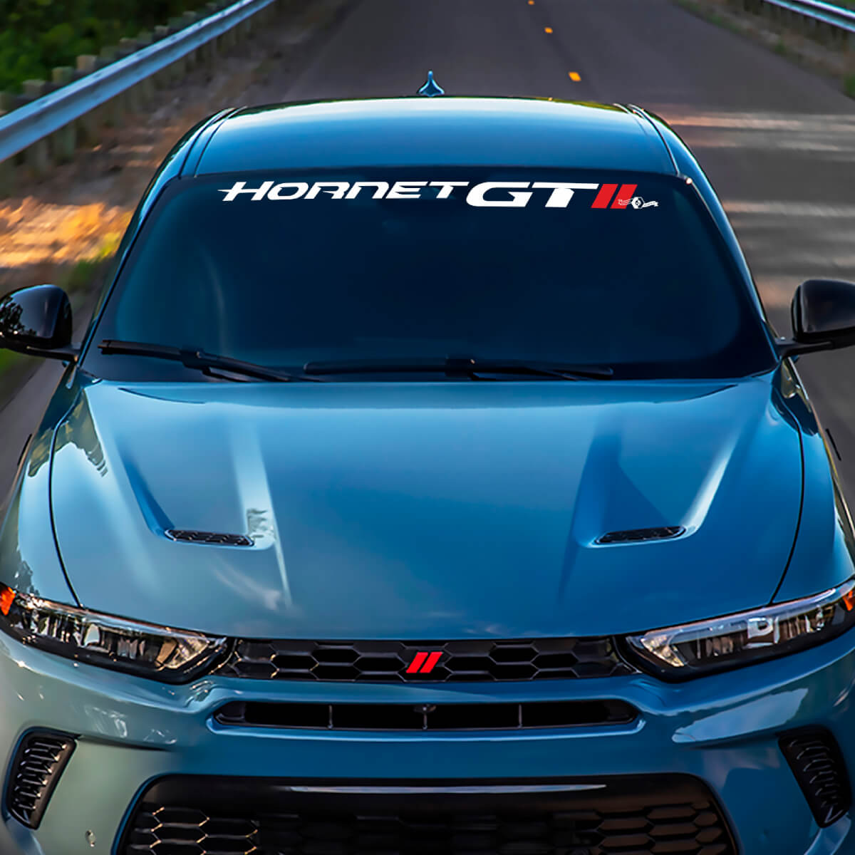Paradone Banner Decal adesivo grafico in vinile adatto a Dodge GT Hornet Hash
