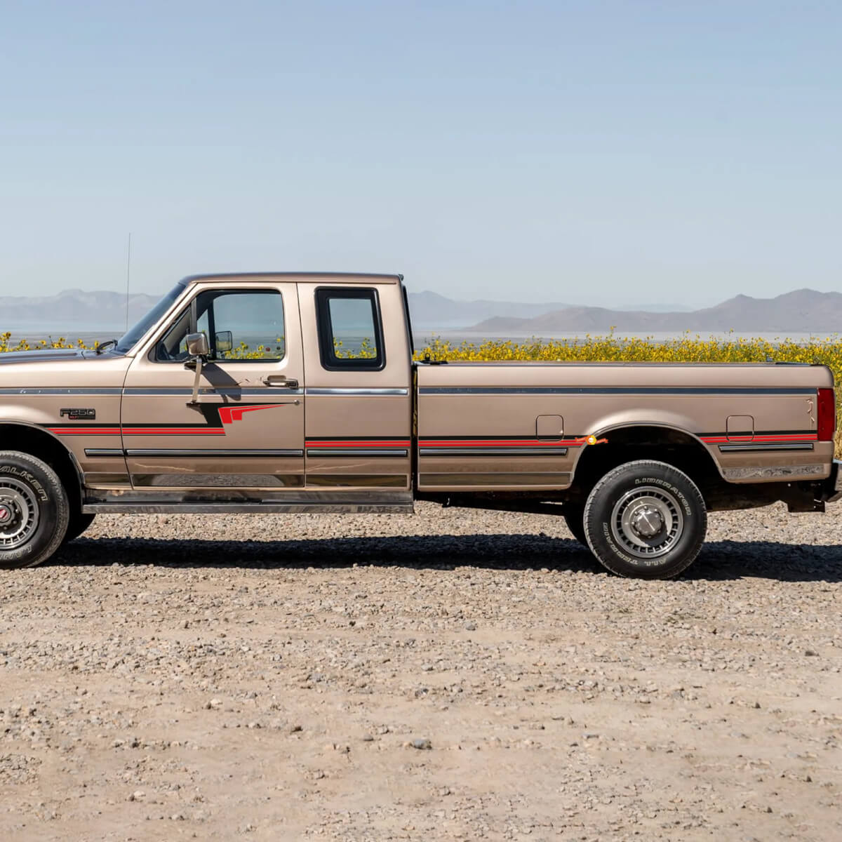 Kit Adesivi Strisce Pin Retro - Set Adesivi in Vinile per Sponda Laterale Grafica Laterale per Ford F250 1992 Super Cab