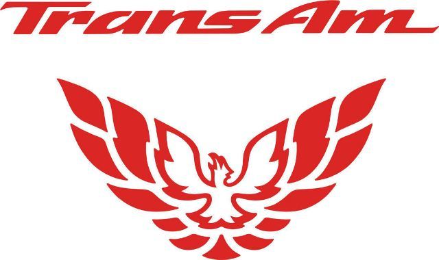Adesivo in Vinile Riempitivo per Fanale Posteriore Trans Am per Pontiac Firebird 1998-2002
