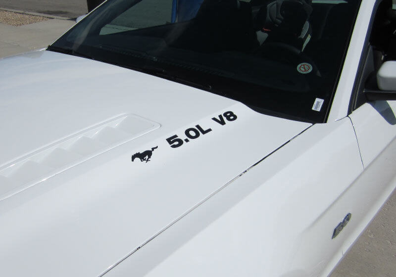 Musclecar Musclecarmodel 5.0 V8 CON PONY COFANO DECAL COPPIA 2011 - 2020 ADESIVO IN VINILE