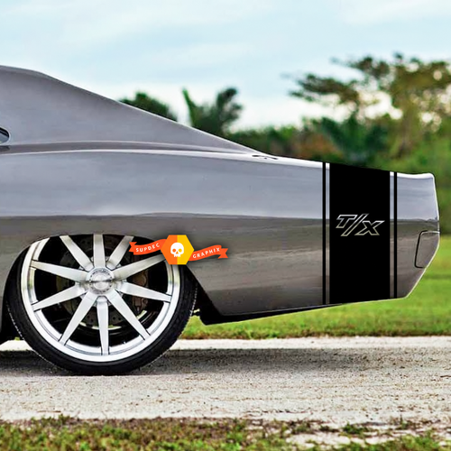 T/X Twin Pinstripe Tail Band Parafango posteriore Baule Adesivo in vinile per Dodge