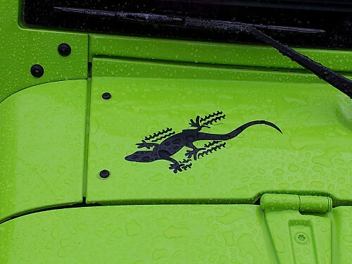 Set di Adesivi Laterali in Vinile Gecko per Jeep Wrangler