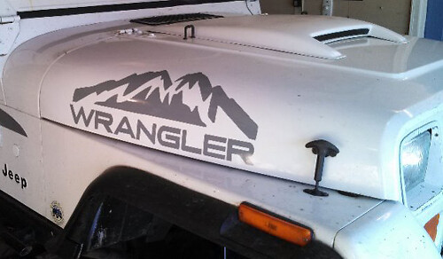 2 Jeep Wrangler Rubicon MONTAGNE CJ TJ YJ JK XJ Adesivo in vinile n