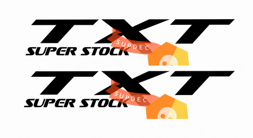 TXT Super Stock Lettering — Adesivo in vinile (fiancata) per Dodge Charger SRT