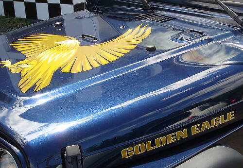 Kit Adesivi in Vinile Cappuccio e Laterali Golden Eagle per Jeep Wrangler