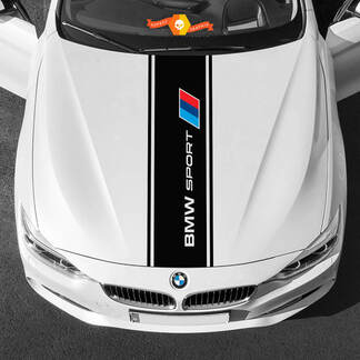 Decalcomanie in vinile Adesivi grafici BMW cofano nella tavolozza sportiva BMW centrale
