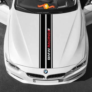 Decalcomanie in vinile Adesivi grafici BMW cofano centrale BMW Racing Palette 2022
