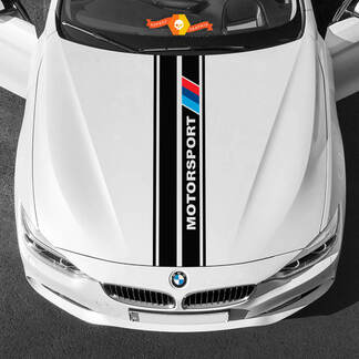 Decalcomanie in vinile Adesivi grafici BMW cofano centrale BMW Motorsport 2022

