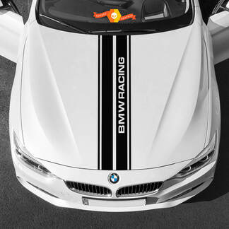 Decalcomanie in vinile Adesivi grafici BMW cofano centrale BMW Racing 2022
