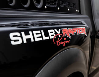 Coppia adesivo decalcomania grafica parafango posteriore Ford F-150 Raptor Shelby Baja Edition
