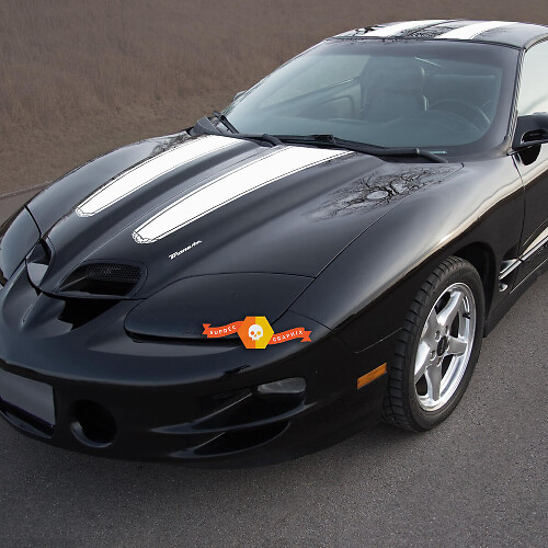 Kit di Adesivi in Vinile con Doppie Strisce per Cofano, Tetto e Portellone per Pontiac Firebird Trans Am