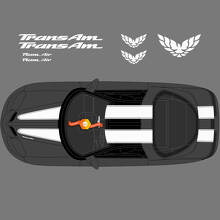 Kit di Adesivi in Vinile con Doppie Strisce per Cofano, Tetto e Portellone per Pontiac Firebird Trans Am_2