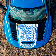 Adesivo in Vinile con Testo Personalizzato Pelle di Dinosauro per Cofano Dodge Ram Rebel 1500 TRX_2