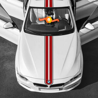 Decalcomanie per adesivi per carrozzeria BMW cofano 2 colori Decalcomanie per strisce laterali per cofano sul tetto della coda
