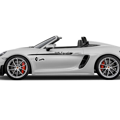 Kit adesivi decalcomania per strisce laterali con logo trim 