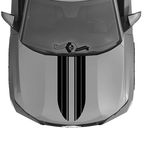 Adesivo Vinilico Strisce Gemelle per Cofano Hyundai Santa Cruz