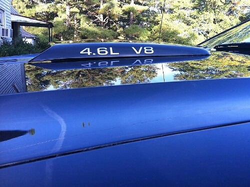 Coppia di Adesivi per Bocchettone Cofano V8 4.6L per Musclecar Musclecarmodel