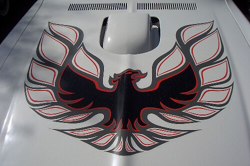 Adesivo in Vinile a Forma di Uccello per Cofano Pontiac Firebird Trans Am