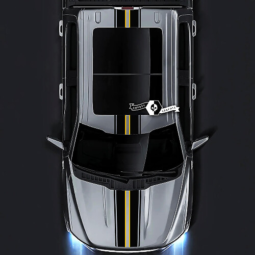 Ford F-150 XL XLT STX LARIAT Cofano Tetto Portellone Trim Grafica Decalcomanie laterali Adesivi 2 colori
