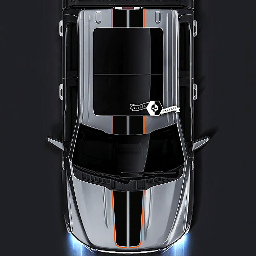 Ford F-150 XL XLT STX LARIAT Cofano Tetto Portellone Trim Grafica Decalcomanie laterali Adesivi 2 colori
