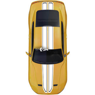 Ford Mustang Mach cofano tetto portellone decalcomania adesivo in vinile per auto Shelby Sport Racing Stripes 2 colori
 1
