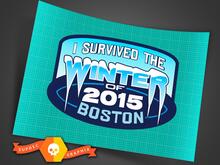 Par JEEP Boston Blizzard Emblema 