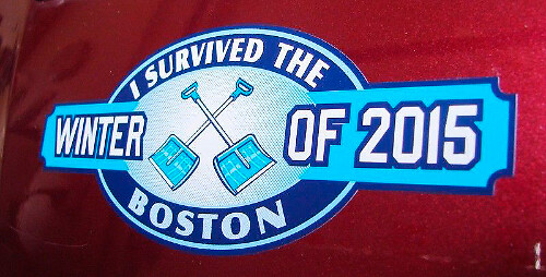 Adesivo Distintivo Emblema Boston Blizzard I Survived The Winter in Vinile 2 per Jeep ATV Camion