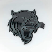 Emblema dei distintivi del parafango del distintivo 3D della tigre di Helltiger 2
 4