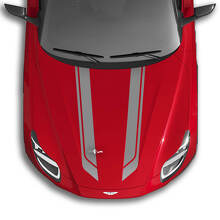 Aston Martin DB11 Adesivi in vinile per ali del cofano
 2