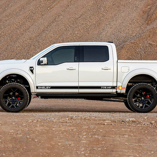 Coppia Ford F-150 Raptor SHELBY 775HP Porte laterali Linee grafiche Set Logo Stripe Adesivo Decalcomania
