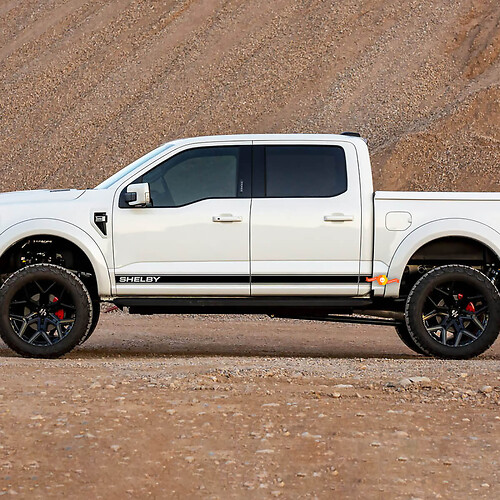Coppia di decalcomanie adesive con strisce di logo Ford F-150 Raptor SHELBY per porte laterali
