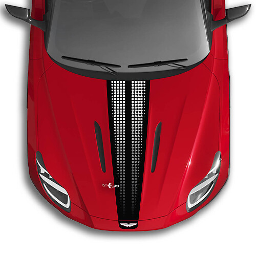 Adesivi per decalcomanie in vinile con bandiera a scacchiera a strisce per cofano Aston Martin DB11 - Sfumatura di 2 colori
