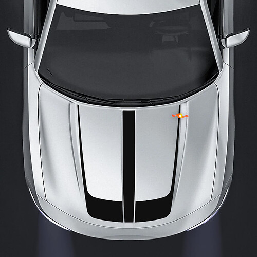 La grafica degli adesivi per decalcomanie centrali per cofano Dodge Charger si adatta ai modelli 2015-2020
