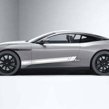 Adesivi in vinile a strisce per porte laterali 3 pezzi per Aston Martin DB11 2