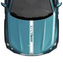 Decalcomania adesiva personalizzata con strisce personalizzate per cofano BMW X5 G05 - Vinile M Performance
 2