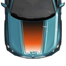 Decalcomania centrale con accento avvolgente per cofano BMW X5 G05 - Adesivi grafici in vinile
 2