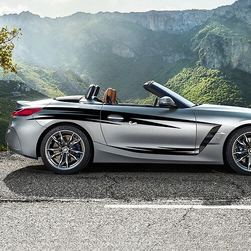 Adesivo decalcomania in vinile con strisce tribali per porte con accenti laterali adatto per BMW Z4
