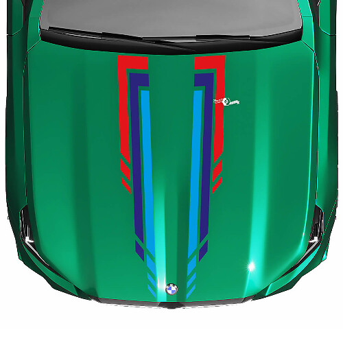 Decalcomania per cofano a quadretti L Stripes Racing per BMW Serie 5 G60 M5 G90
