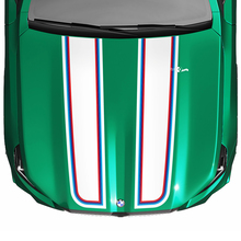 Decalcomania per cofano con bandiera a scacchi Stripes Racing M Colors per BMW Serie 5 G60 M5 G90
 2