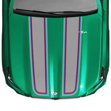 Decalcomania per cofano con bandiera a scacchi Stripes Racing M Colors per BMW Serie 5 G60 M5 G90
 3