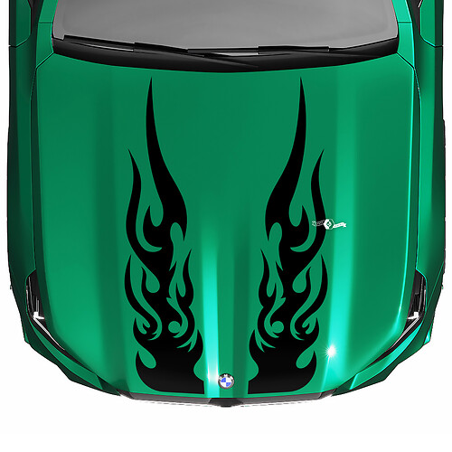 Decalcomania per cofano a quadretti L Stripes Racing per BMW Serie 5 G60 M5 G90

