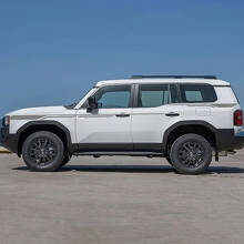 Adesivi in Vinile per Strisce Decorative Porte Laterali 2 Pezzi per Toyota Land Cruiser 3