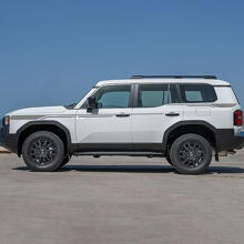 Toyota Land Cruiser strisce laterali decalcomanie adesivi in ​​vinile grafica
 3