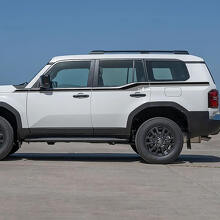 Adesivi in vinile per strisce decorative sulle porte laterali della Toyota Land Cruiser in 2 colori.
 2
