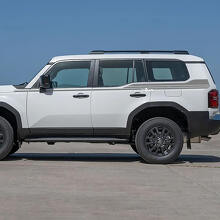 Toyota Land Cruiser Side Up Doors Stripes Decalcomanie Adesivi in ​​vinile Grafica
 3