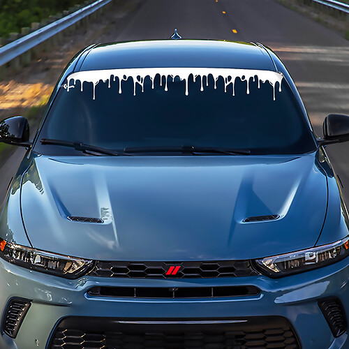 Hornet Hash Parature Stripe Banner Banner Decal Sticker - Grafica in vinile personalizzata adatta a Dodge Hornet
