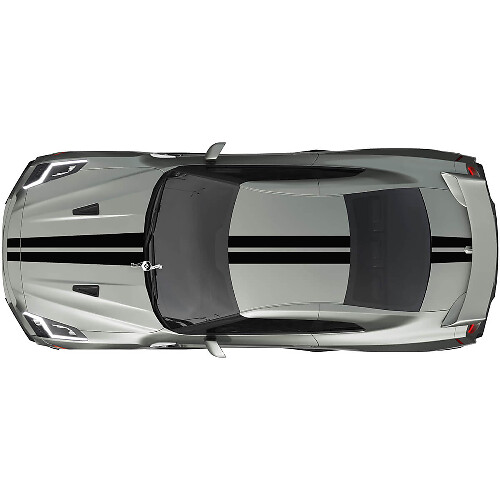 Kit adesivi a strisce duali per Nissan GT-R, colore singolo
